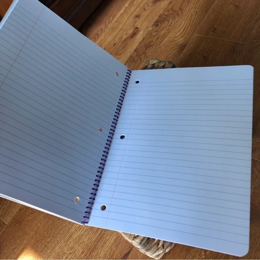 Disney 100 Years Journal 50 Wide Rule Sheets